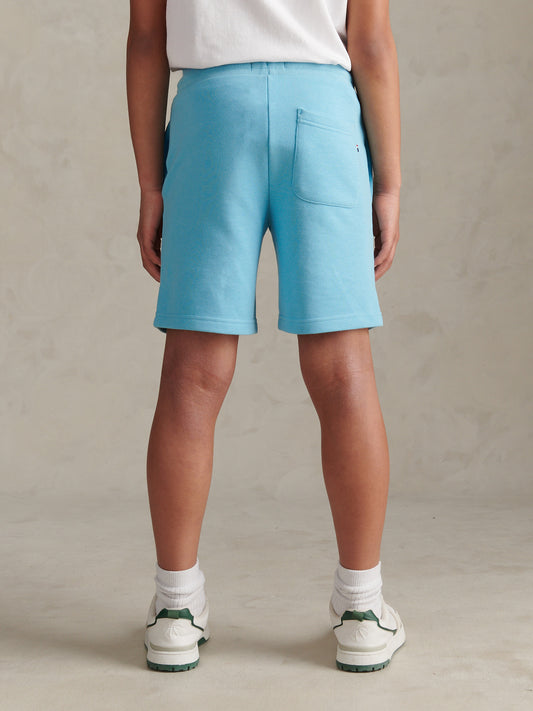 Boys Double Horsemen Sweat Shorts Air Blue