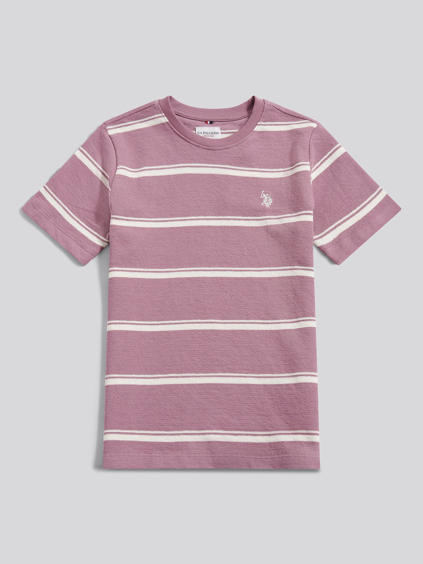 Boys Terry Stripe T-Shirt in Elderberry