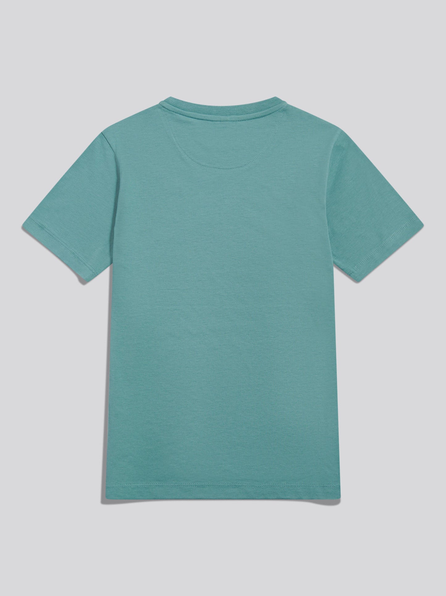 Boys USPA Print Graphic T-Shirt Arctic