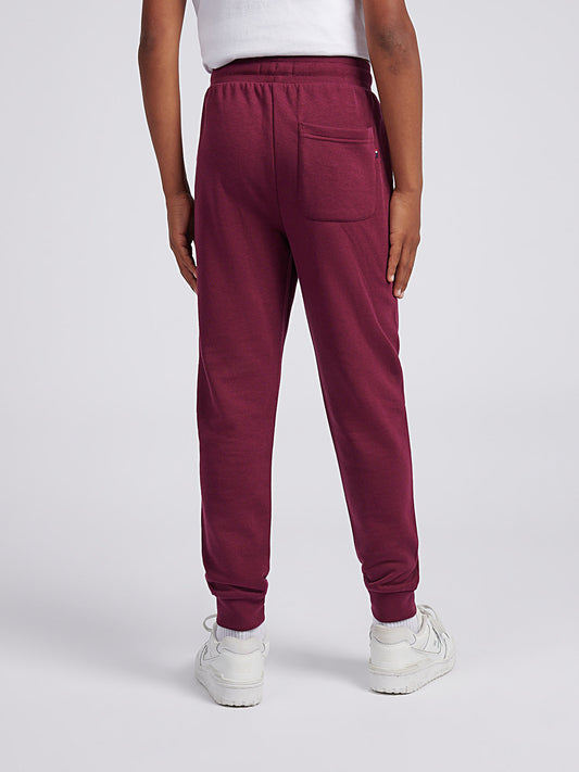 Boys Double Horsemen Loopback Jogger in Grape Wine