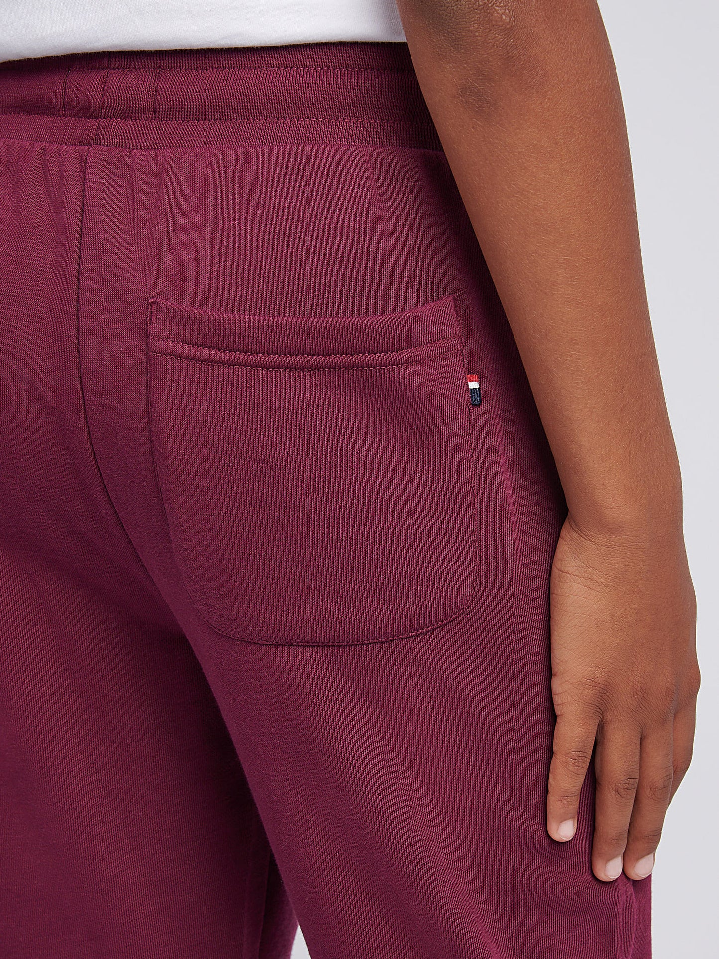 Boys Double Horsemen Loopback Jogger in Grape Wine