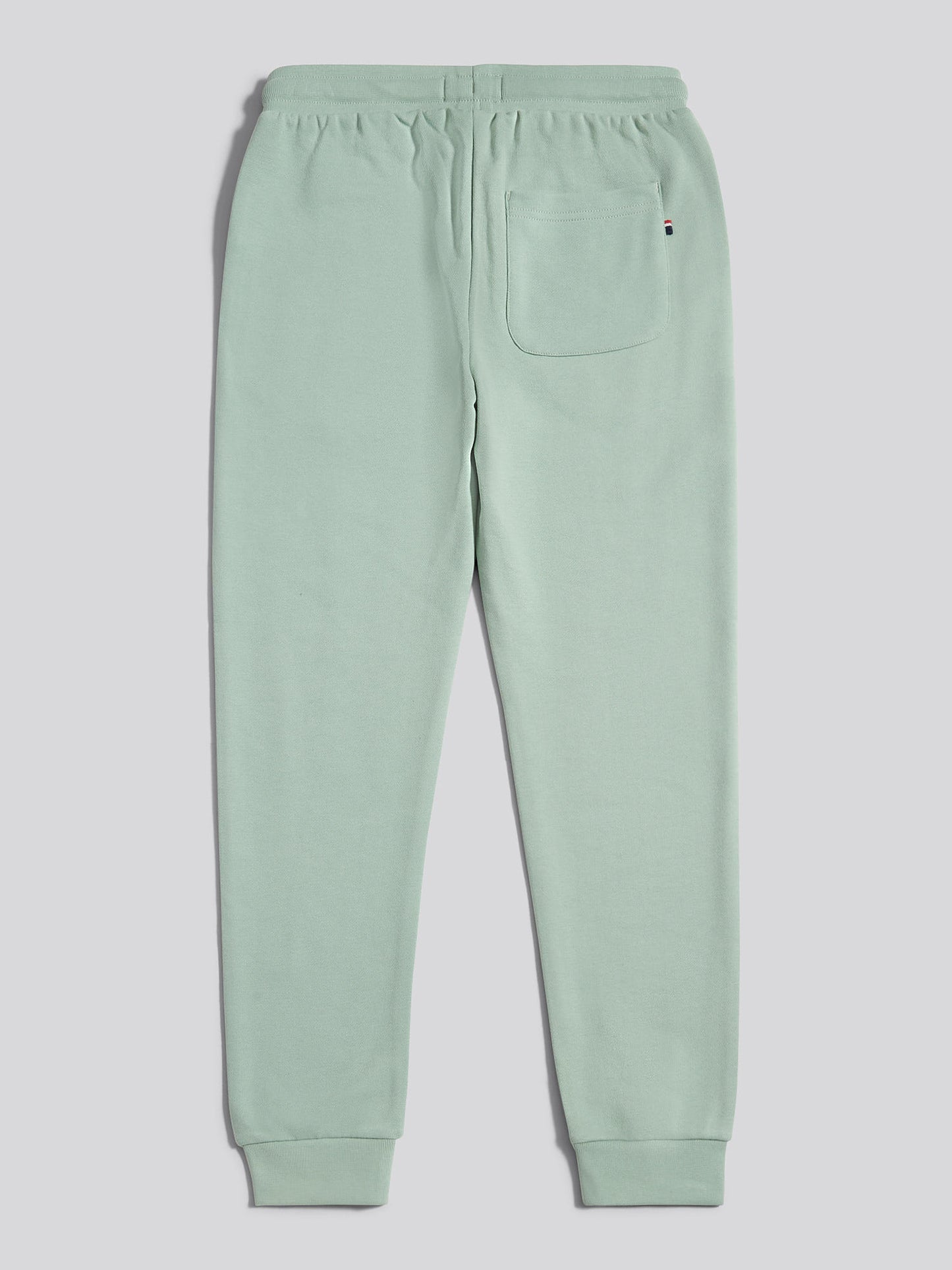 Boys Double Horsemen Loopback Jogger in Iceberg Green