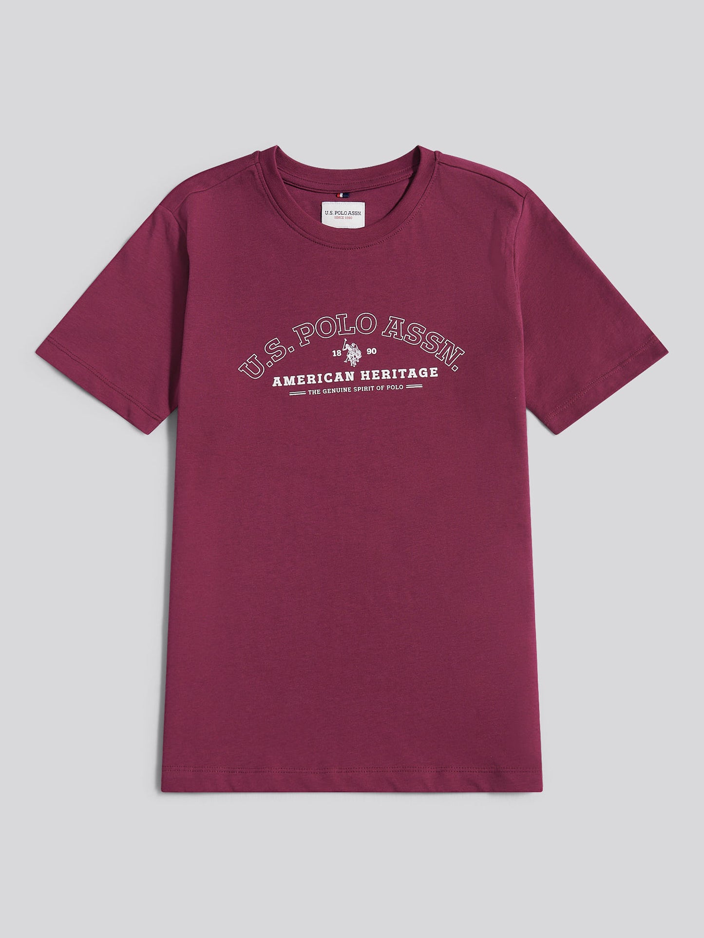 Boys Heritage Graphic Print T-Shirt in Grape Wine
