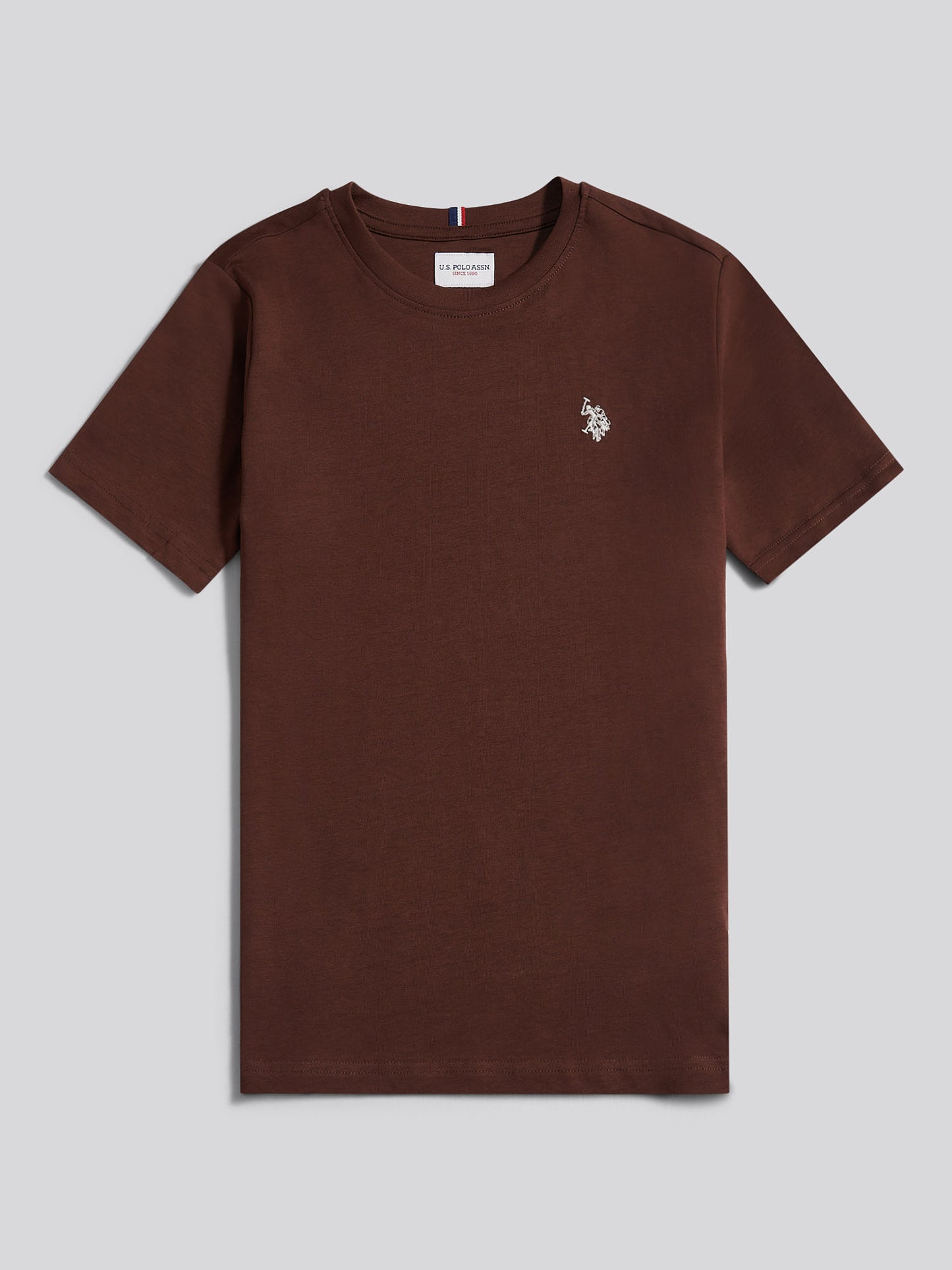 Boys USPA Back Graphic T-Shirt in Chocolate Martini