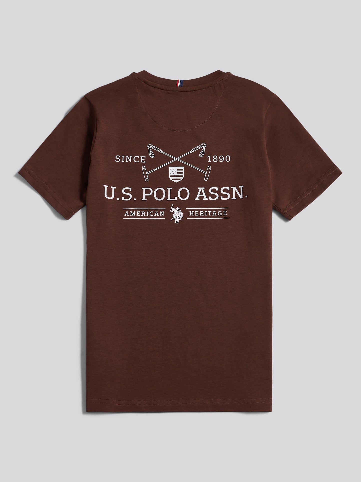 Boys USPA Back Graphic T-Shirt in Chocolate Martini