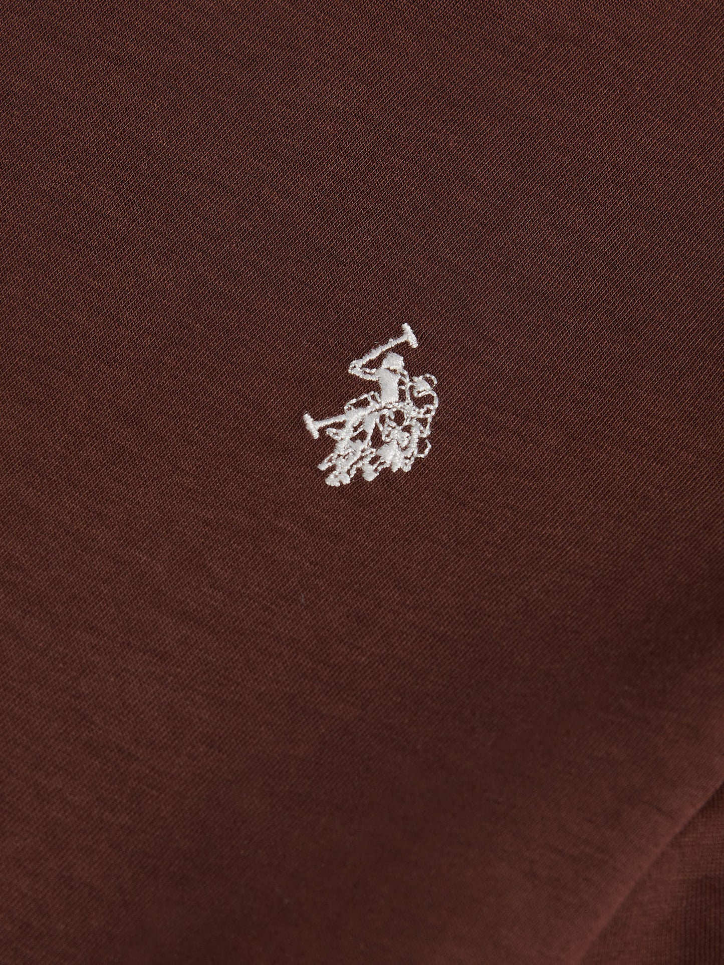 Boys USPA Back Graphic T-Shirt in Chocolate Martini