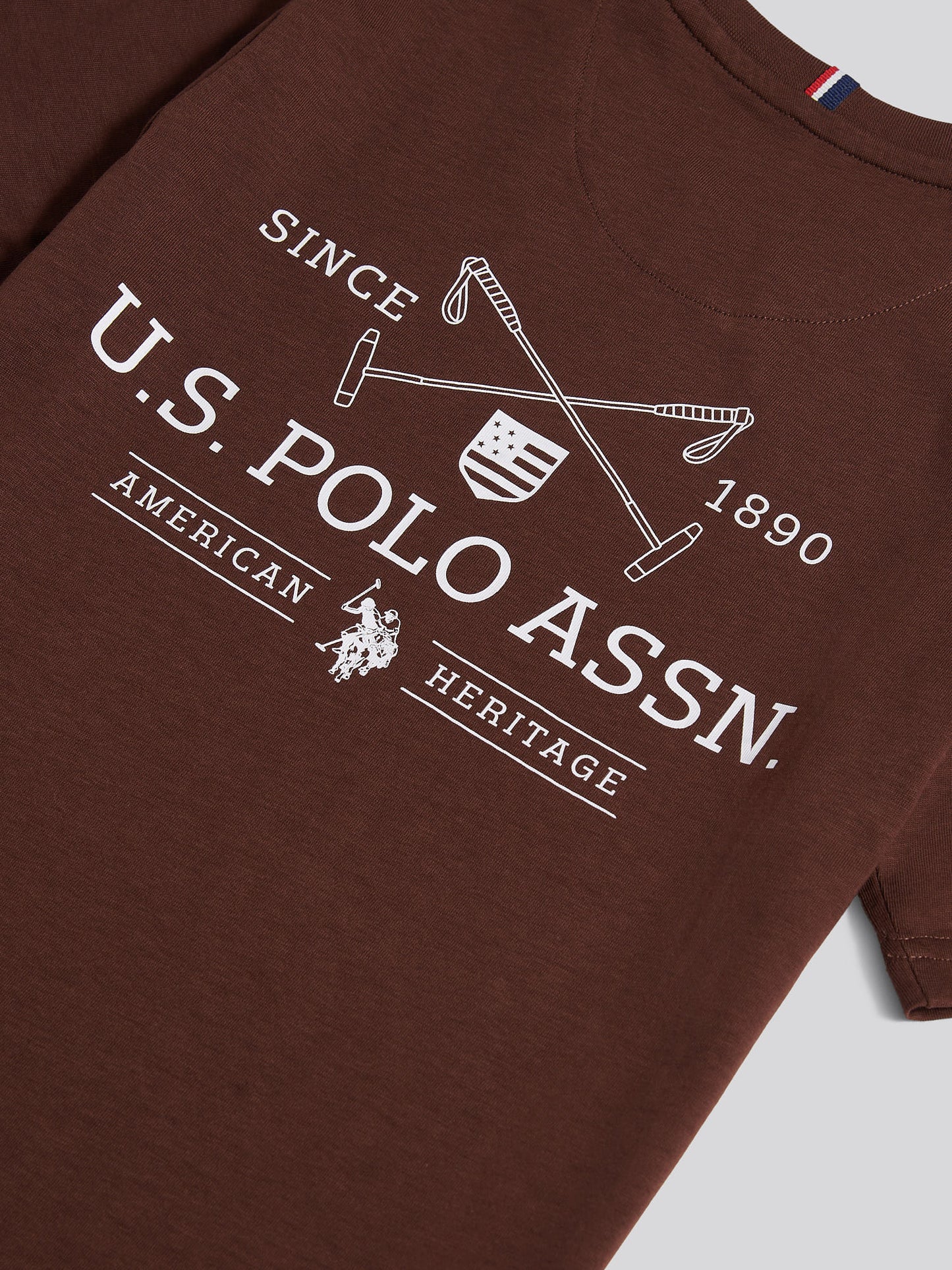 Boys USPA Back Graphic T-Shirt in Chocolate Martini