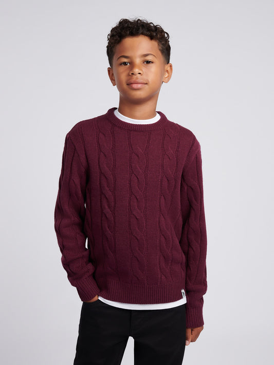 Boys Cable Knit Crew in Grape Wine