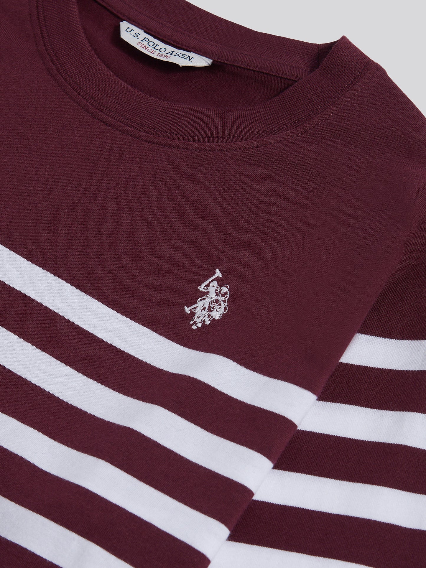 Womens Stripe Long Sleeve T-Shirt in Fig