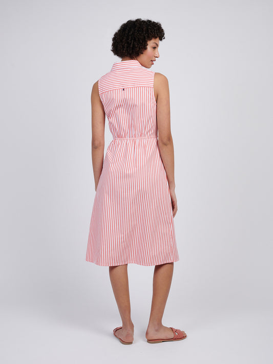 Womens Stripe Tie Waist Shirt Dress in Sugar Coral