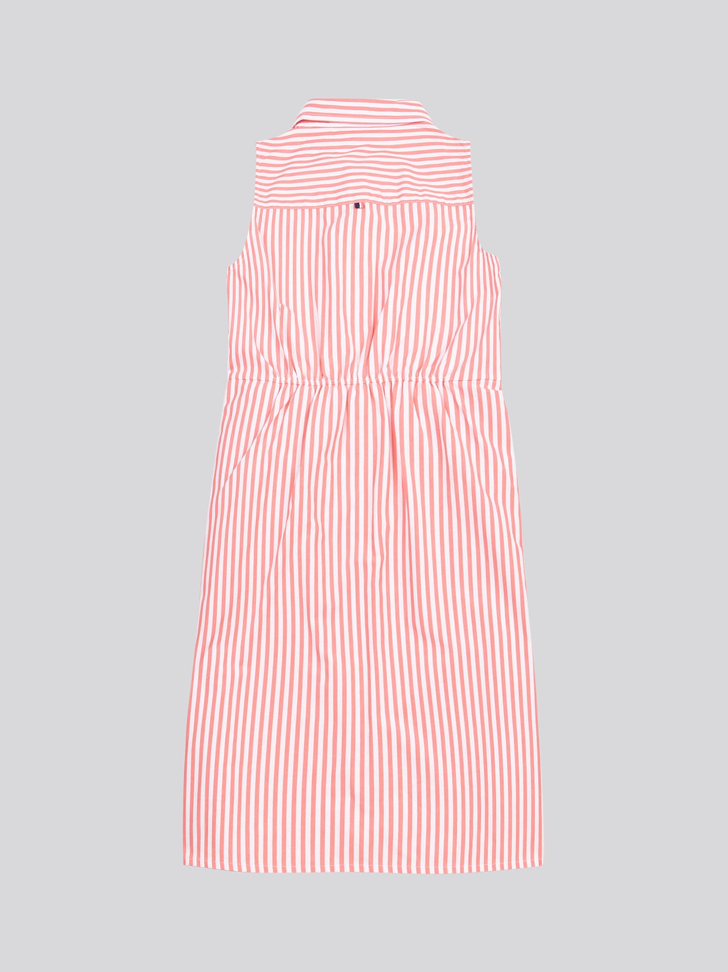 Womens Stripe Tie Waist Shirt Dress in Sugar Coral