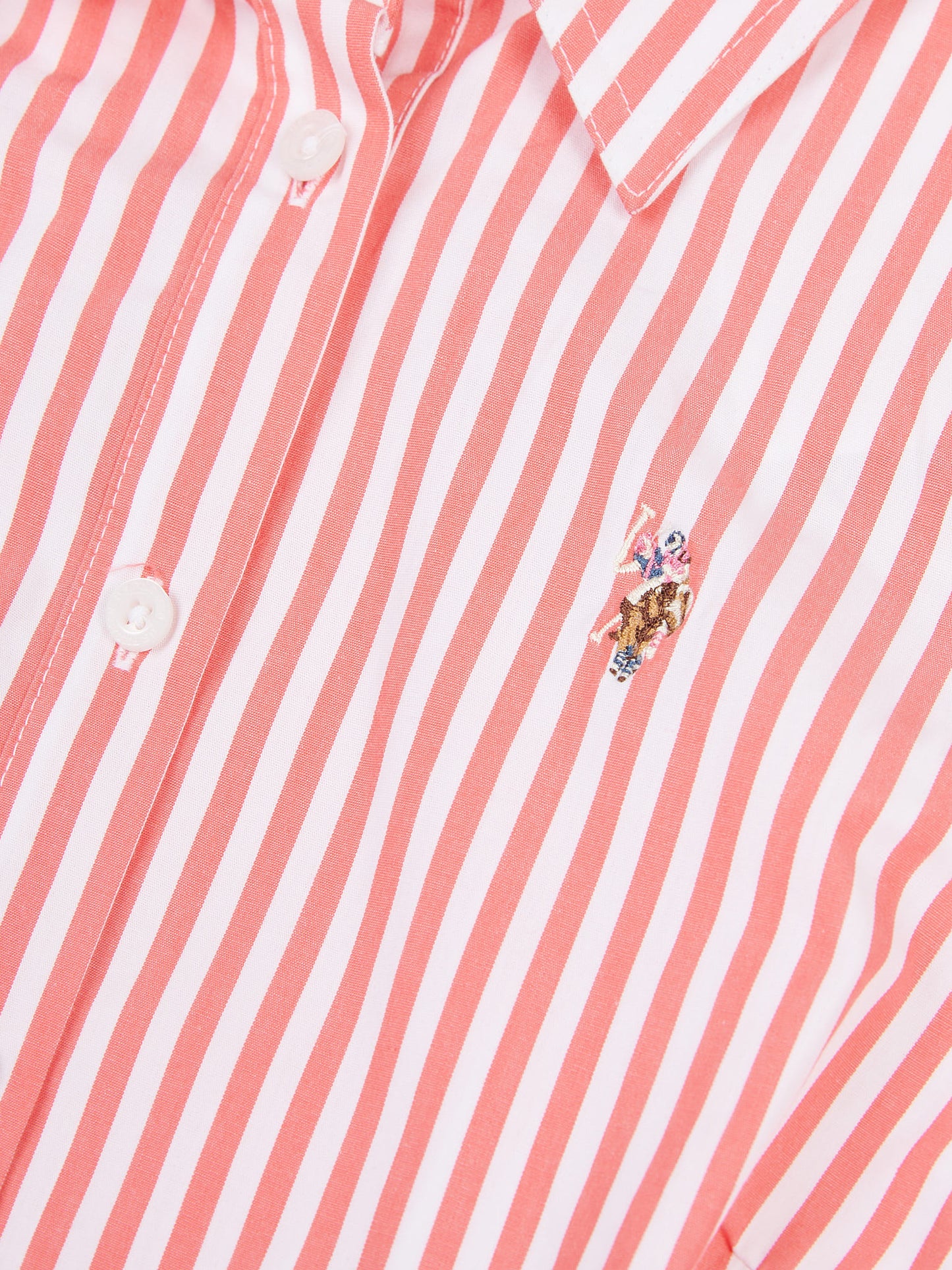 Womens Stripe Tie Waist Shirt Dress in Sugar Coral