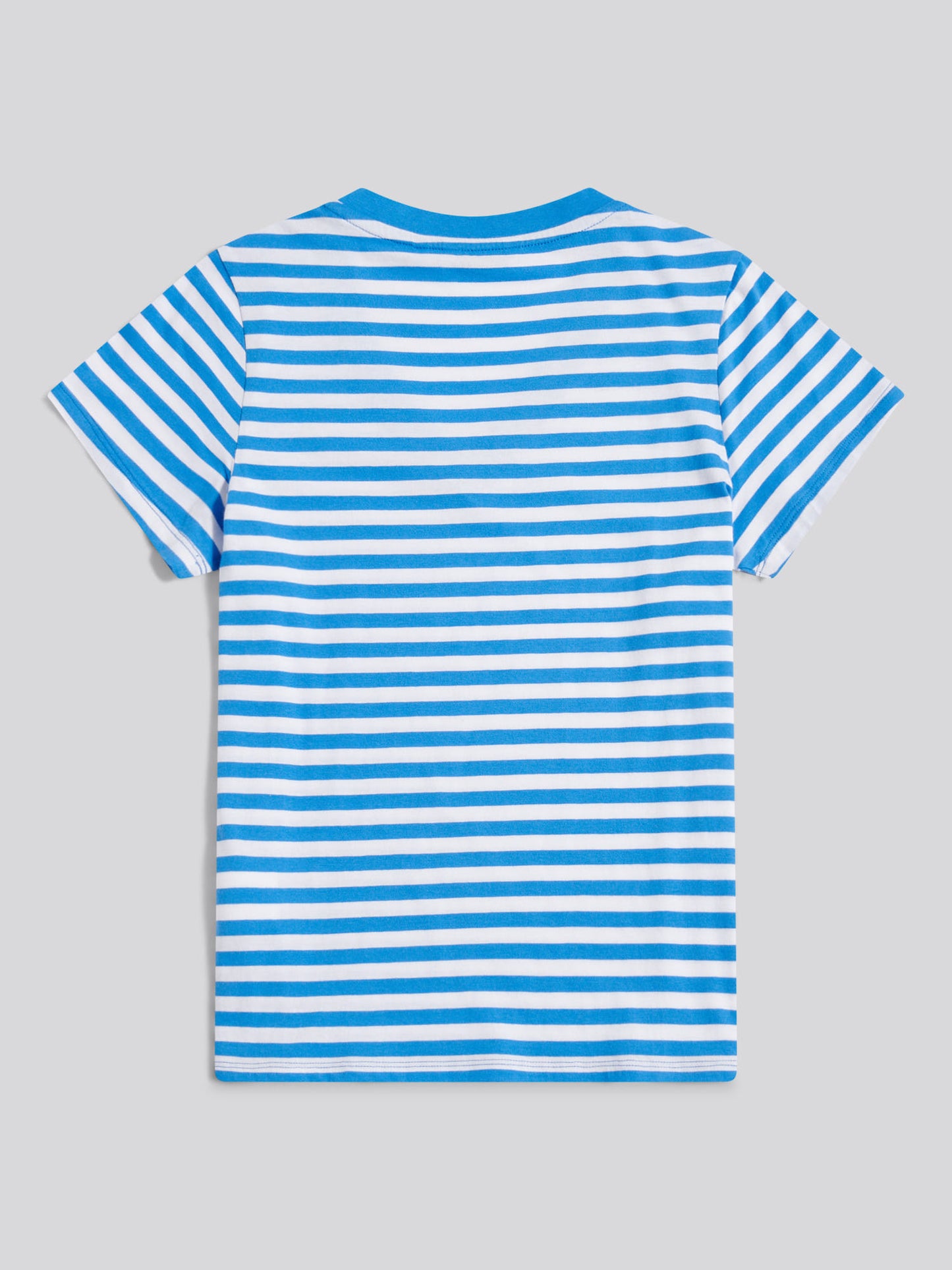 Womens Stripe V-Neck Neck T-Shirt Regatta Blue