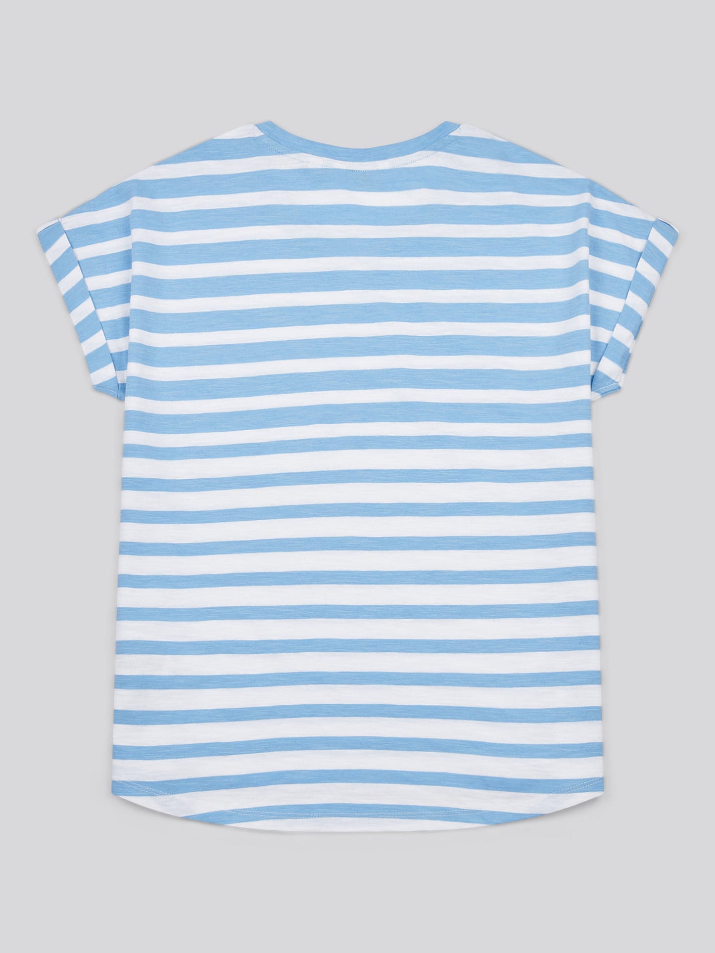 Womens Stripe Slub  T-Shirt in Vista Blue