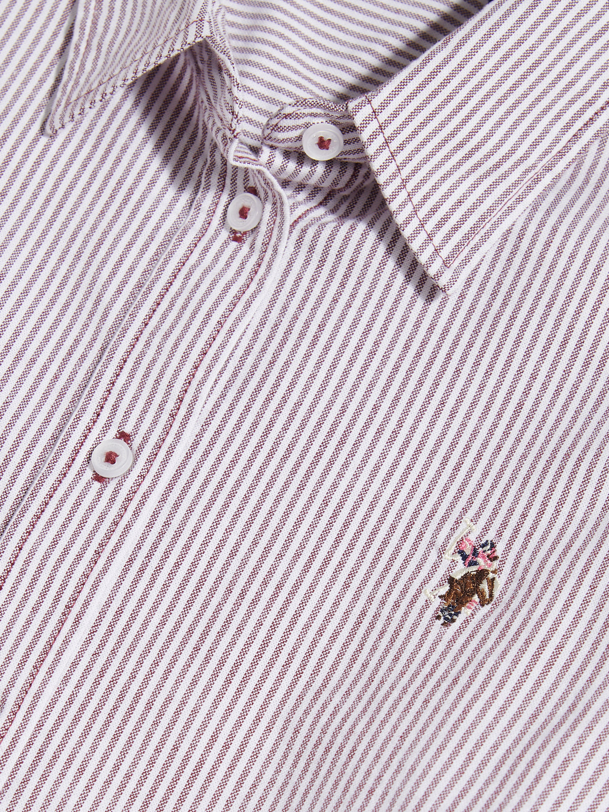 Womens Stripe Stretch Classic Fit Oxford Shirt Burgundy