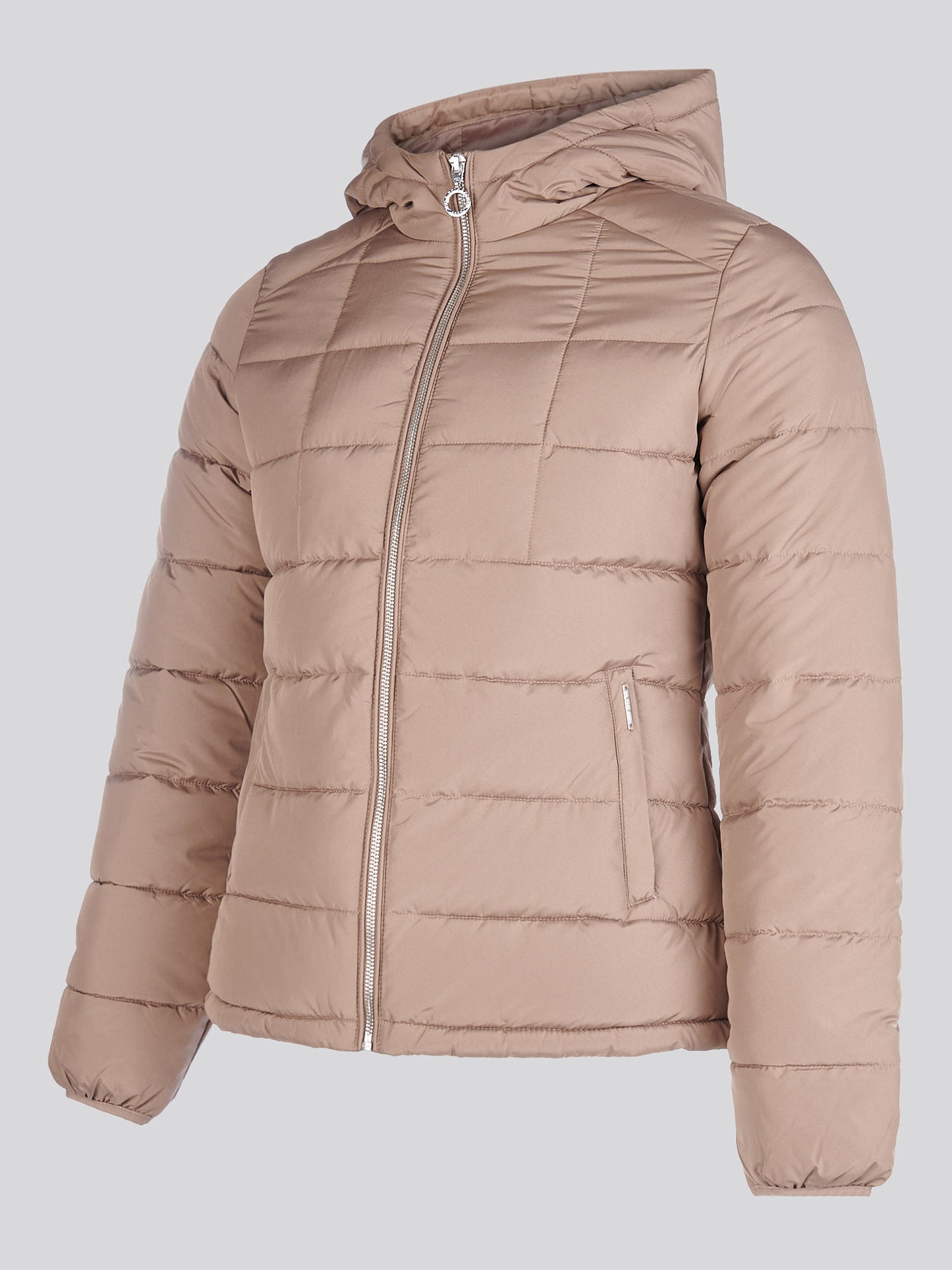 Womens Quilted Hooded Puffer Coat in Leafless Tree