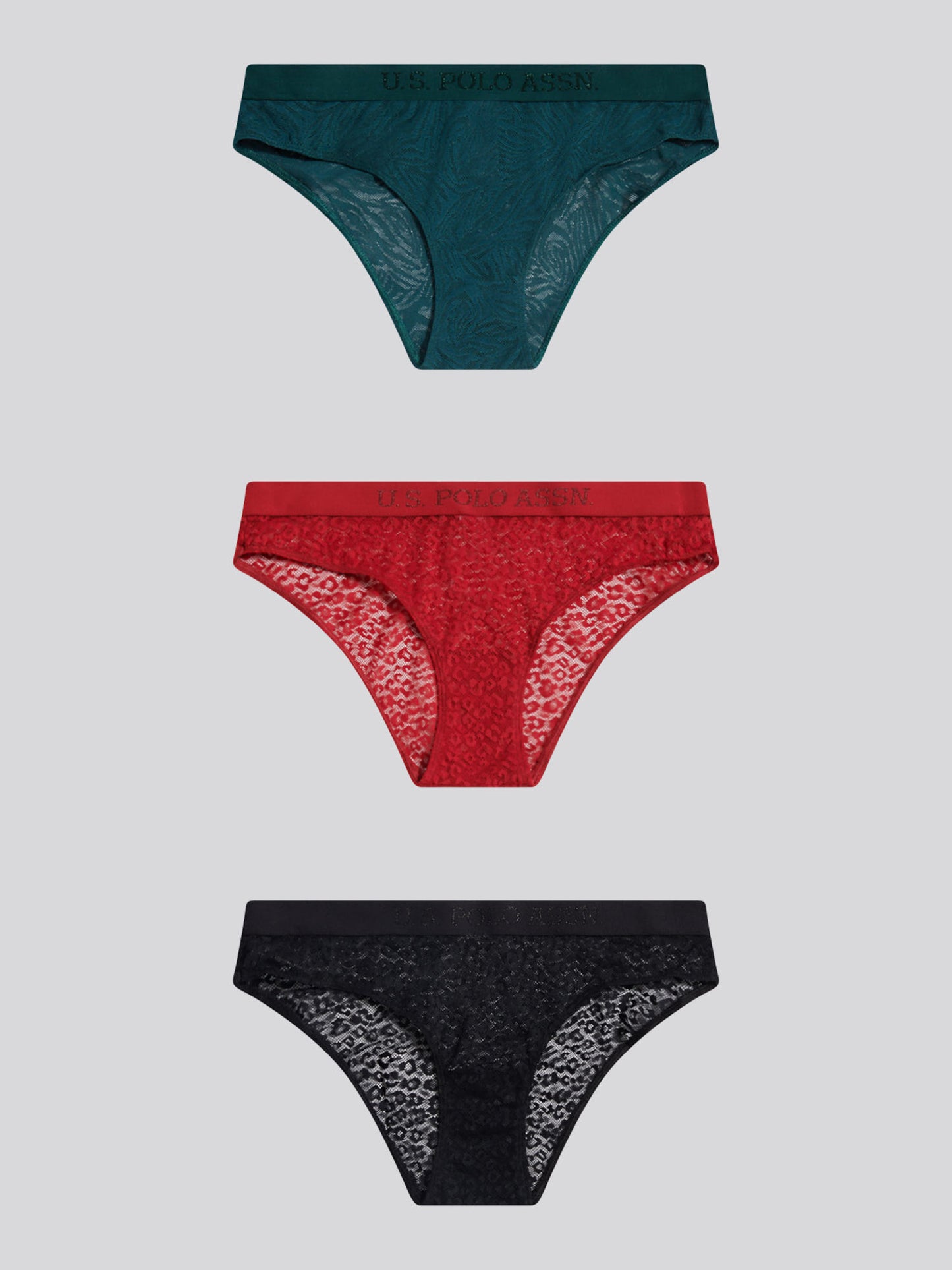 Womens 3 Pack Animal Jacquard Mesh Bikini Brief in Black